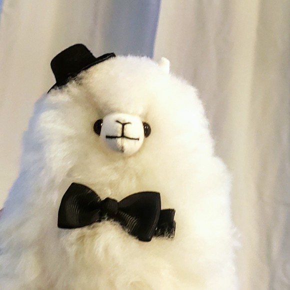 EVERYTHING SOLD PAST THIS POINT - Picture 1 of 1